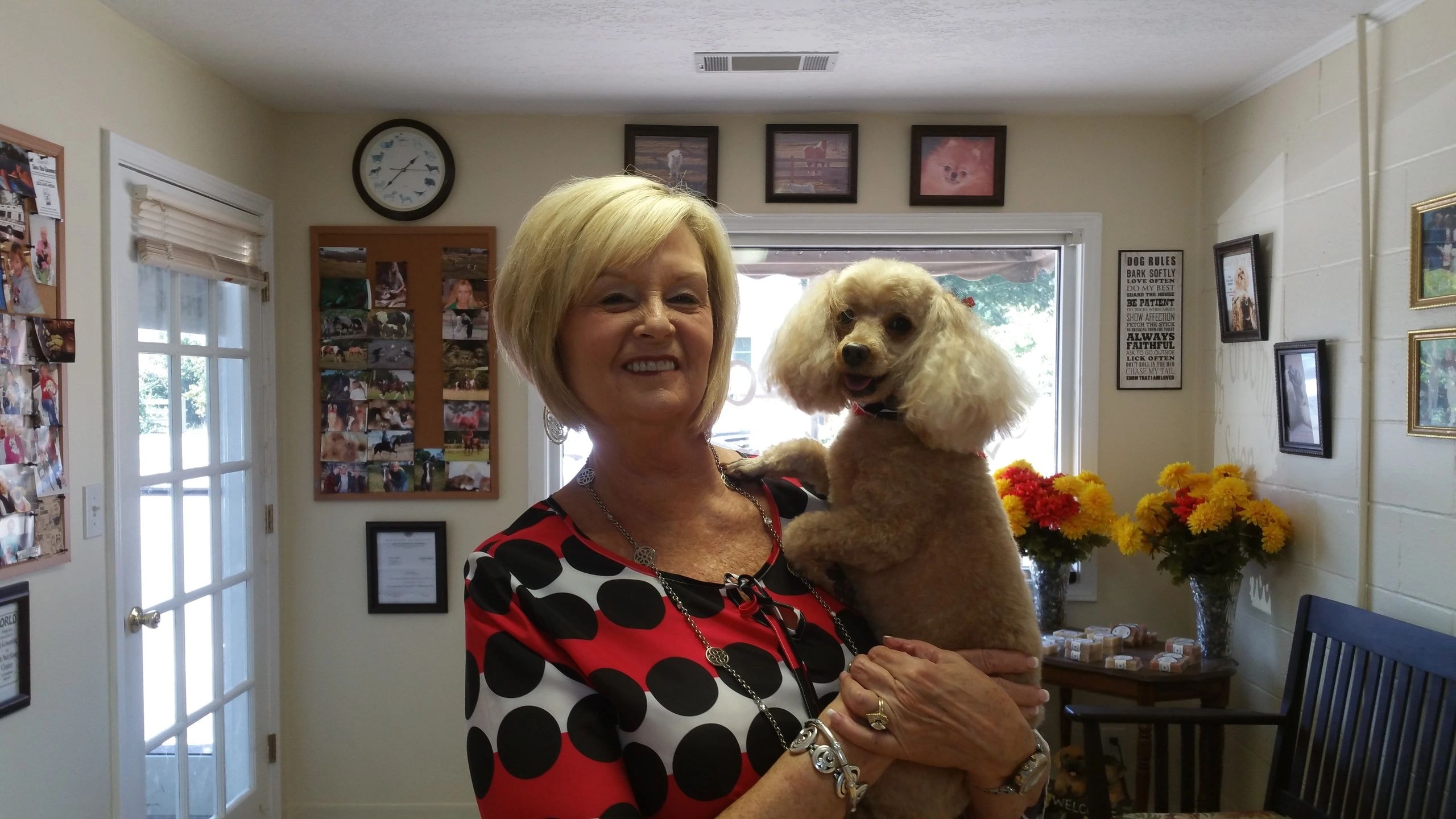 Groomer carefully trimming a Pomeranian in the salon